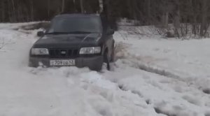 И ещё вот так приходилось  пробиваться на пасеку..