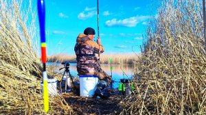 НАШЕЛ УКРОМНОЕ МЕСТО КУДА ЗАКИНУТЬ ПОПЛАВОК!!! Весенняя рыбалка 2025!