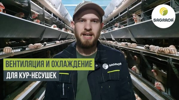 Вентиляция и охлаждение для кур-несушек с клеточным содержанием | Оборудование SAGRADA