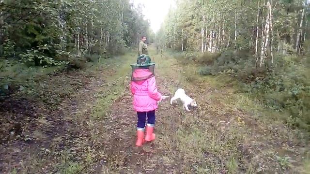 Гуляем в лесу смотреть онлайн