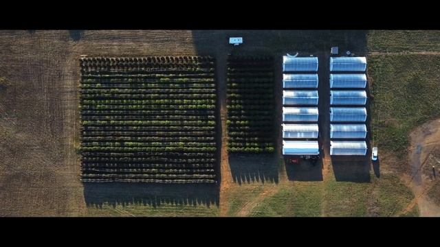 The 2022 Cali Phenotype Megahunt Recap w/ @HSCEurope смотреть онлайн