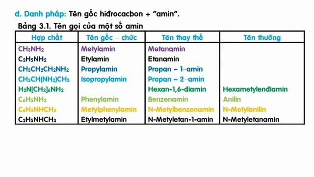 HOÁ HỌC 12 - BÀI 9 - AMIN - TỔNG HỢP LÝ THUYẾT CƠ BẢN смотреть онлайн