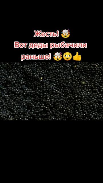 Немного истории))) #shorts #белуга #рыбалка смотреть онлайн