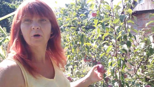 ГОРОД.ЦІНИ НА БАЗАРІ.У НАС ПОПОВНЕННЯ В СІМ"Ї. смотреть онлайн