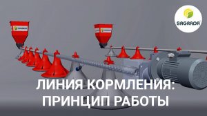 Линия кормления для птиц BEST | Система автоматического кормления бройлеров, индейки, уток и гусей