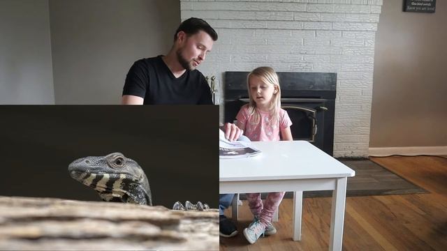 Coolest Reptiles From Around The World - Australia смотреть онлайн