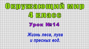 Окружающий мир 4 класс (Урок№14 - Жизнь леса, луга и пресных вод.)