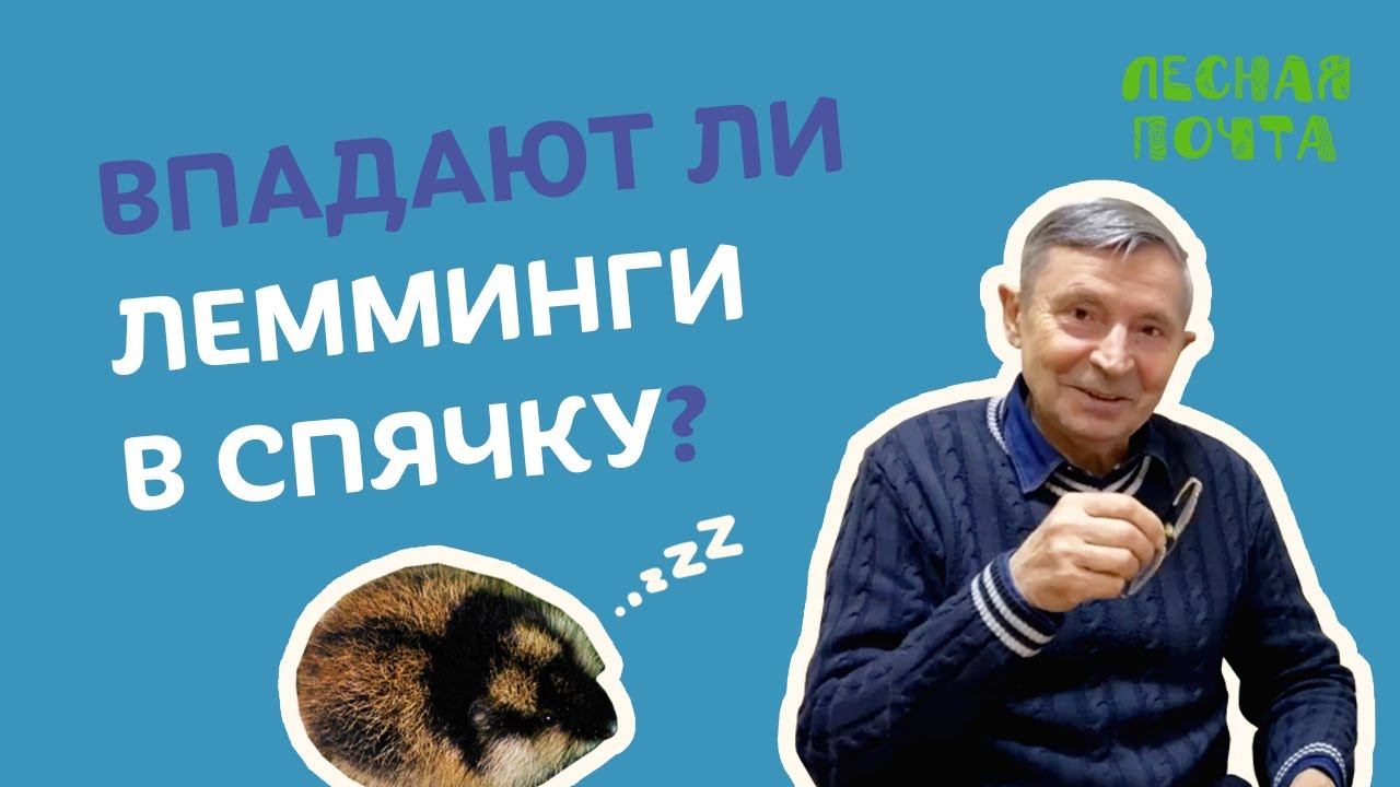 Лесная почта — Впадают ли лемминги в спячку? Геннадий Катаев смотреть онлайн