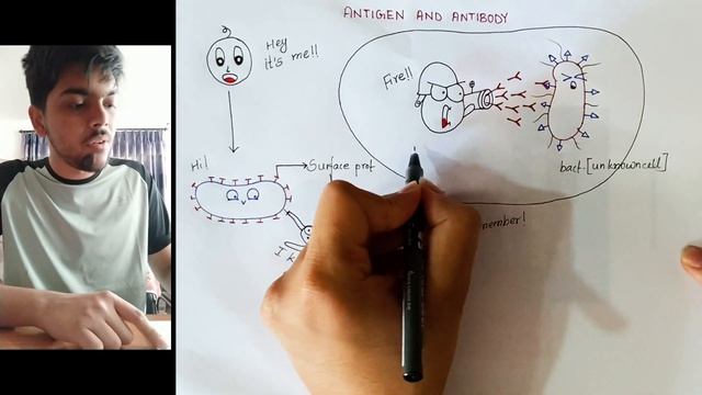 Antigen and Antibody VIDEO 27 (CEE/NEET/Class 11/12) смотреть онлайн