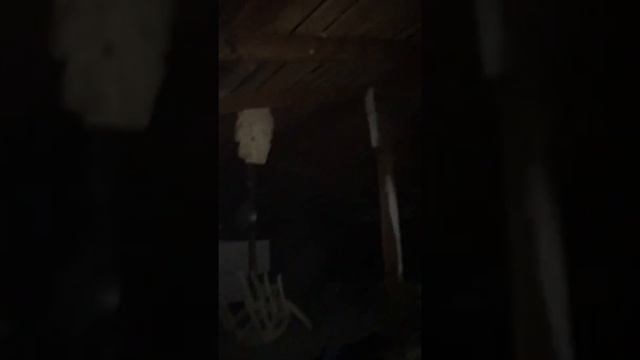 Eşek arısı kolonisini ilaçladık смотреть онлайн