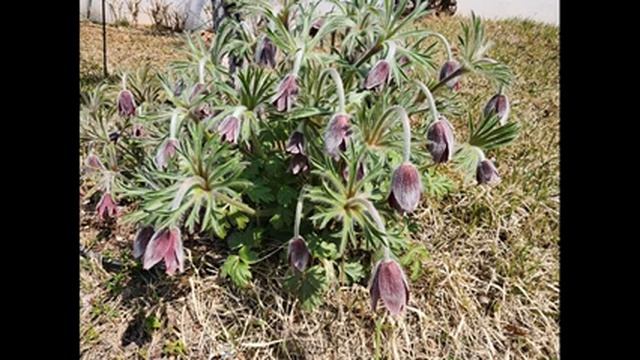 103 смотреть онлайн