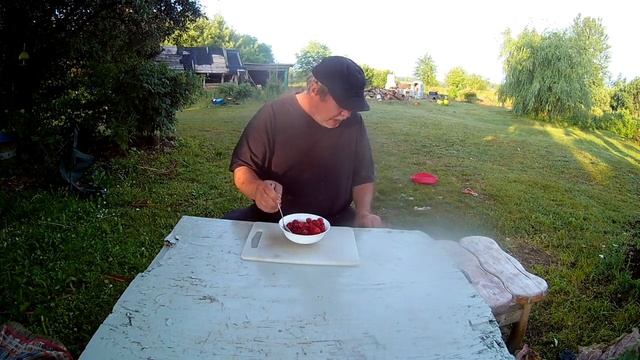 MUKBANG raspberries Мукбанг МАЛИНА утром на десерт смотреть онлайн