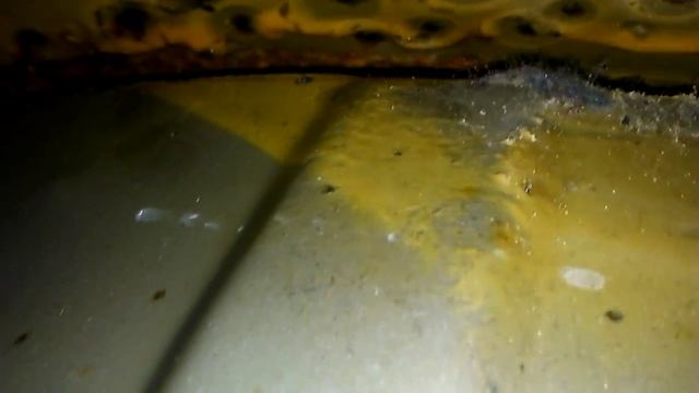 Opel Vauxhall Meriva, Corsa, Astra - Rear Panels Rust inside / wheel arch / смотреть онлайн