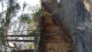 работа с поджелудочной железой,снятие воспал.процесса,биомутации,восстановление энергопробоев