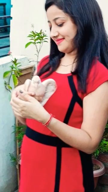 #trending #with#mybirds#shorts #ytshorts 💐💐🌧️🌧️🥳🥰🍕☺️ смотреть онлайн