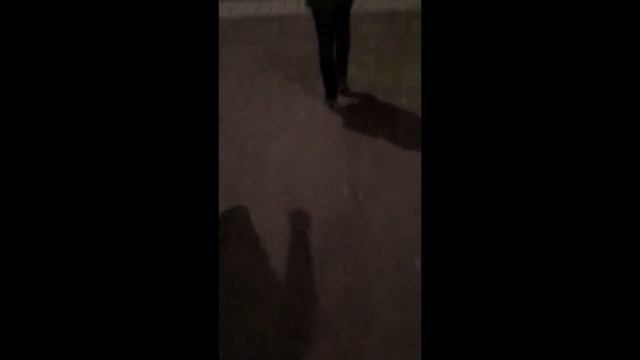 Галилео спор шаверма) смотреть онлайн