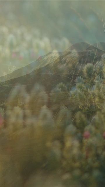 Авачинский вулкан смотреть онлайн