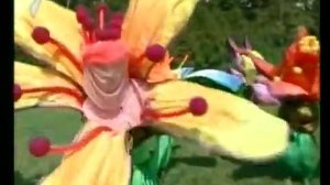 Веселая Зарядка 1 (цветы)