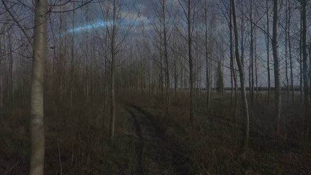 Severe Frost -Блуждающие огоньки