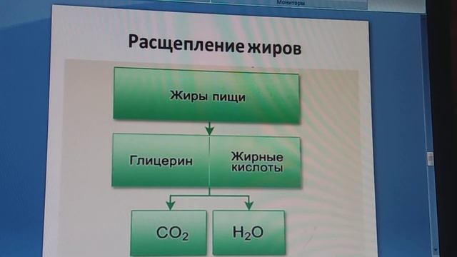 Обмен веществ смотреть онлайн