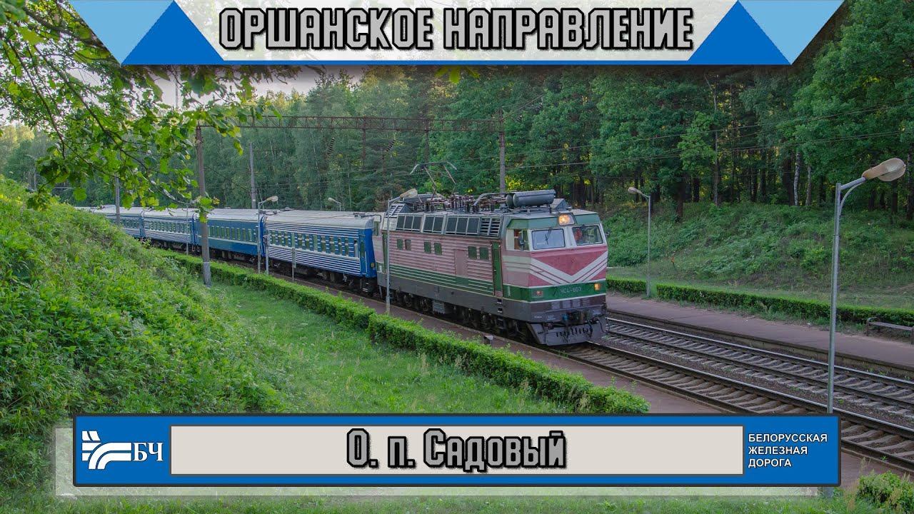 Поезда в Беларуси! Предвечерняя железнодорожная жизнь на Оршанском направлении смотреть онлайн