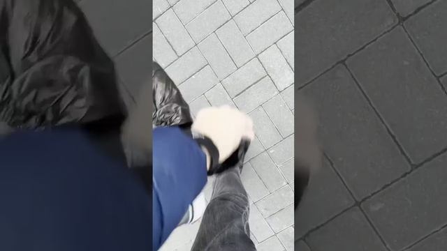 One day of my life in Russia смотреть онлайн