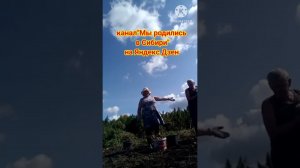 отдых на огороде