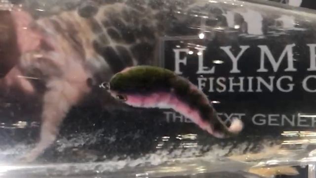 Next Game Changer fly – Slow motion in the Fly Tester смотреть онлайн