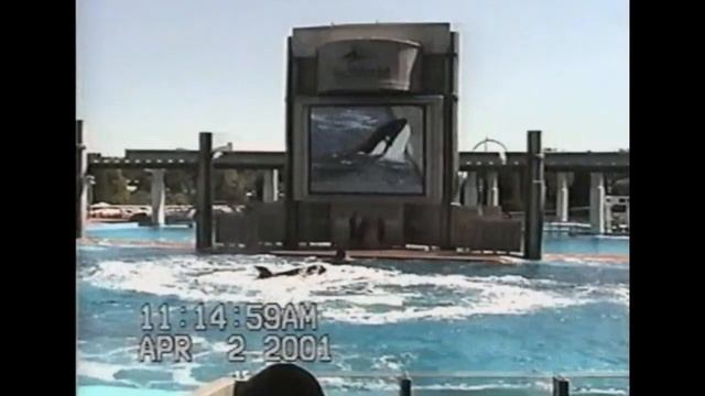 Shamu Adventure Opening (4/2/01) смотреть онлайн