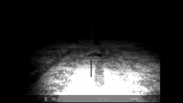 Pulsar F455 - Wildboar hunting смотреть онлайн
