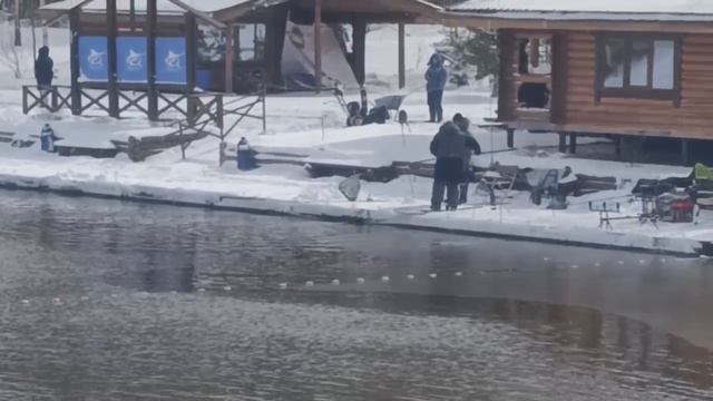 форель смотреть онлайн