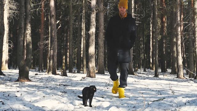 Уютная гора. Доступная и живописная достопримечательность Волчанска