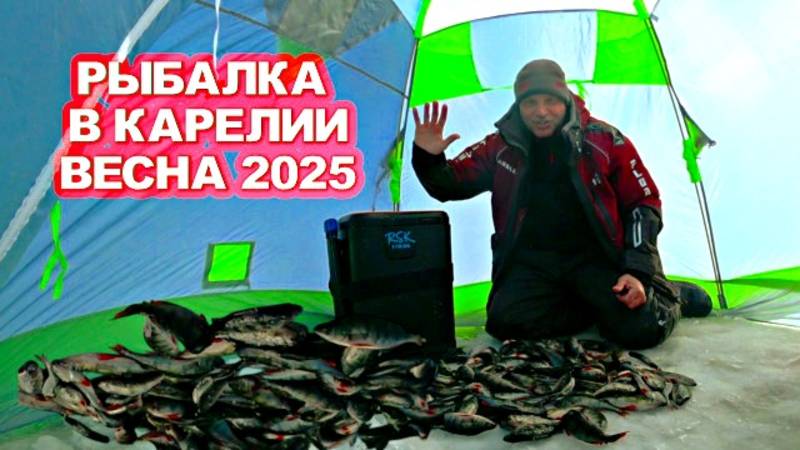 РЫБАК ПОШЕЛ НА ОЗЕРО ЗА РЫБОЙ ТАКОГО НЕ ОЖИДАЛ. РЫБАЛКА В КОНЦЕ МАРТА 2025 НА БЛЕСНУ И МОРМЫШКУ смотреть онлайн