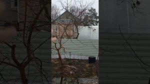 24 марта - завершаю обрезку яблоневого сада в Твери. #сад #садоводство #яблоня