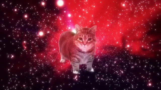 Уиа но видео смотреть онлайн