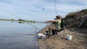 ВОБЛА ПРЁТ НА КАЗАХСТАНСКОЙ ГРАНИЦЕ! ЛОВЛЮ И ОТПУСКАЮ. А ГУСТЕРУ И КАРАСЕЙ В САДОК.