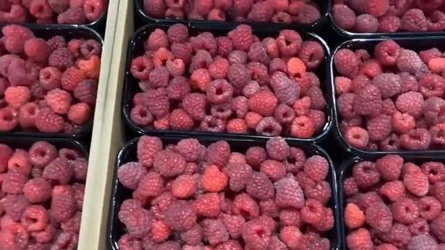 Amazing #frutis #ананас #клубника # папайя #черешня # персик #2023 #малина # ленинградский # рынок смотреть онлайн