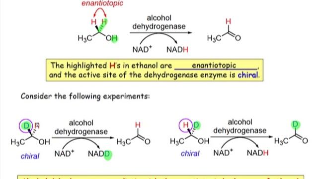 How Chiral Objects Distinguish Enantiotopic Groups смотреть онлайн