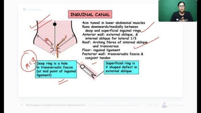 Inguinal Region | NEET PG2022 | Anatomy | Let's Crack NEET PG | Dr. Monalisa смотреть онлайн