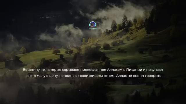 Сура Аль Бакара слушай в ваших домах каждый день смотреть онлайн