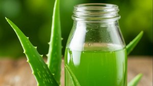 Сок алоэ — польза и вред.