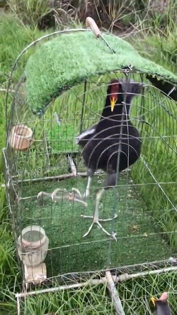 ngày 4 tháng 5, 2022 смотреть онлайн