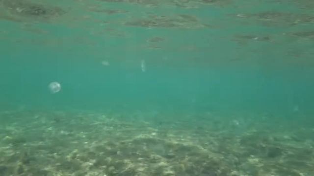 Underwater movie near Sudak's fort DjD смотреть онлайн