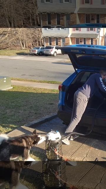 Porch Camera Captures War with Vacuum @QuestionThings смотреть онлайн
