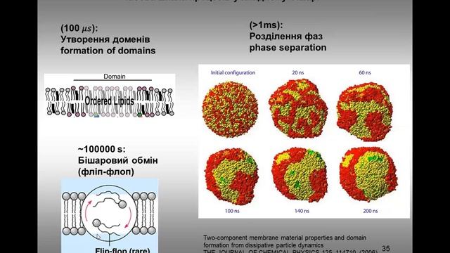 12. Коментарі до слайдів 32-42 смотреть онлайн
