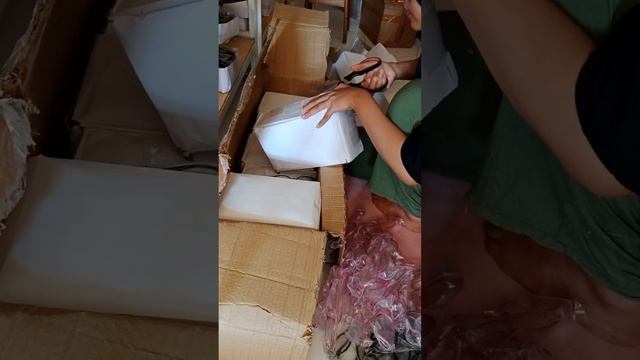 7GR2(prt1) OP Pink clear 149pcs,OP Hitam Doff 81pcs, OP Hitam Glosy 161pcs. NOTE LEBIH смотреть онлайн