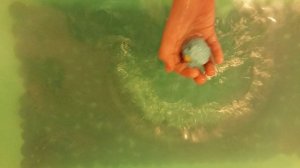 Тестируем🤓 бомбочку для ванны🥰