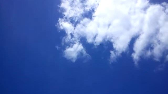 полёт николаевских голубей. смотреть онлайн