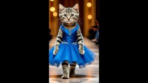 Кошачий показ мод