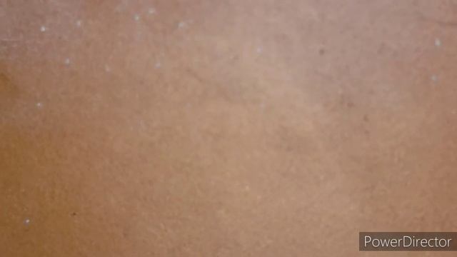 The return of the Thrips | Trying Predatory mite sachets | Pests Overwintering смотреть онлайн